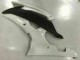 Blanco Carenados Moto Yamaha R6 08-16 Blanco Carenados Moto Yamaha R6 08-16