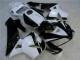 Blanco Negro ABS Moto Plástico Honda CBR 600 RR 05-06