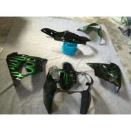Brillante Negro Verde Llama Carenado Moto Kawasaki ZX9R 02-03