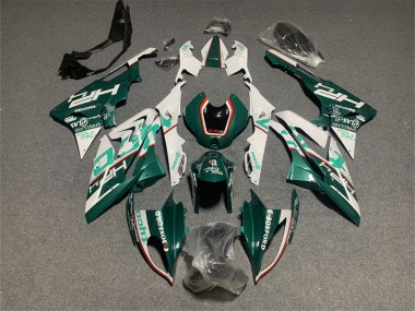 Carenado Moto BMW S1000RR 2017-2018 - Blanco Verde
