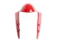 Carenado Moto Ducati 1299 2015-2020 - Rojo