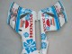Carenado Moto Honda CBR1000RR 2004-2005 - Blanco Azul Nieve Nastro Azzurro 46