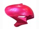 Carenado Moto Honda CBR1000RR 2004-2005 - Rosa Negro Brillante