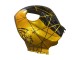Carenado Moto Honda CBR600RR 2009-2012 - Oro Negro Brillante