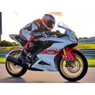 Carenado Moto Yamaha YZF R125 2019-2024 - Blanco Rojo Amarillo