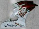 Marrón Blanco Carenado Moto Yamaha R6 06-07 Marrón Blanco Carenado Moto Yamaha R6 06-07