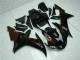 Negro Kits Carenado Moto Yamaha R1 02-03