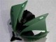 Verde Carenado Moto Yamaha R6 06-07 Verde Carenado Moto Yamaha R6 06-07