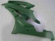 Verde Carenado Moto Yamaha R6 06-07 Verde Carenado Moto Yamaha R6 06-07