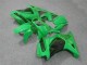 Verde Kit Carenado Moto Kawasaki EX250 08-12 Verde Kit Carenado Moto Kawasaki EX250 08-12