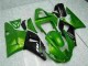 Verde Kit Carenado Moto Yamaha R1 00-01 Verde Kit Carenado Moto Yamaha R1 00-01