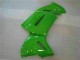 Verde Kits Carenado Moto Kawasaki EX650 06-08 Verde Kits Carenado Moto Kawasaki EX650 06-08