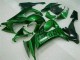 Verde Llama Carenado Moto Kawasaki ZX10R 08-10 Verde Llama Carenado Moto Kawasaki ZX10R 08-10