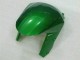 Verde Llama Carenado Moto Kawasaki ZX10R 08-10 Verde Llama Carenado Moto Kawasaki ZX10R 08-10