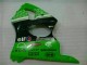 Verde Negro ABS Carenado Motocicleta Kawasaki ZX6R 00-02