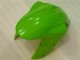 Verde Negro Dunlop Carenado Moto Kawasaki ZX6R 07-08 Verde Negro Dunlop Carenado Moto Kawasaki ZX6R 07-08