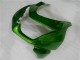 Verde Ninja Kit Carenado Moto Kawasaki EX250 08-12 Verde Ninja Kit Carenado Moto Kawasaki EX250 08-12